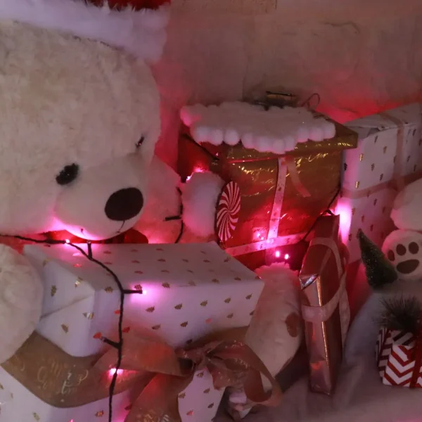 Fannys-design-studio-crecy-la-chapelle-decoration-noel(7)